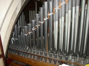 The Great reeds