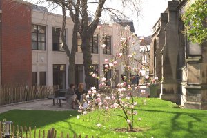 St Peter's churchyard, with the new Centre on the left